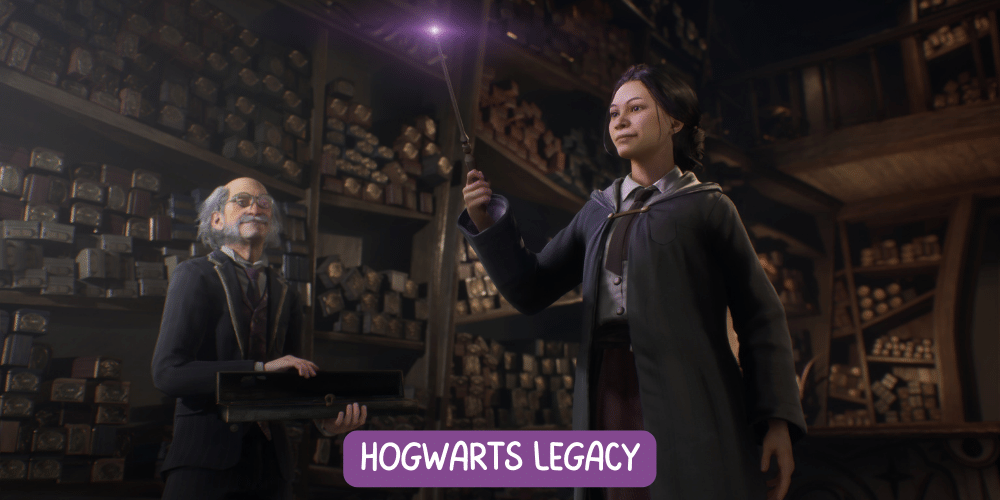 Hogwarts Legacy system